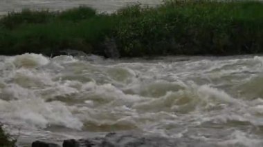 Şiddetli akan bir nehir arasında çimenli bir kayayla köpük oluşturur.