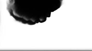 Boya kanaması geçiş empresi. En iyi kalite mürekkep lekesi animasyon filmi. Video dönüşümleri. Düzenleme ya da VFx için de kullanılabilir.