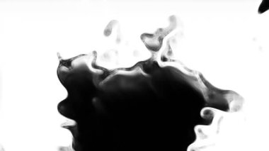 Boya kanaması geçiş empresi. En iyi kalite mürekkep lekesi animasyon filmi. Video dönüşümleri. Düzenleme ya da VFx için de kullanılabilir.