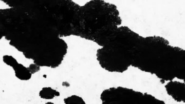 Mürekkep lekesi Üst Kalite Mürekkep lekesi animasyon Stok görüntüsü. Video geçişleri için bu görüntüyü kullanabilirsiniz. Düzenleme ya da VFx için de kullanılabilir