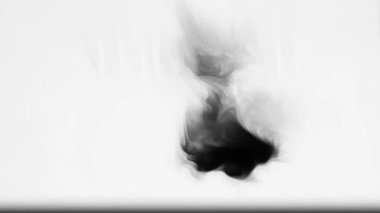 Boya kanaması geçiş empresi. En iyi kalite mürekkep lekesi animasyon filmi. Video dönüşümleri. Düzenleme ya da VFx için de kullanılabilir.