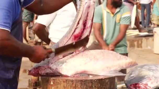 Homem Dividindo Parte Cauda Peixe Enorme Dois — Vídeo de Stock