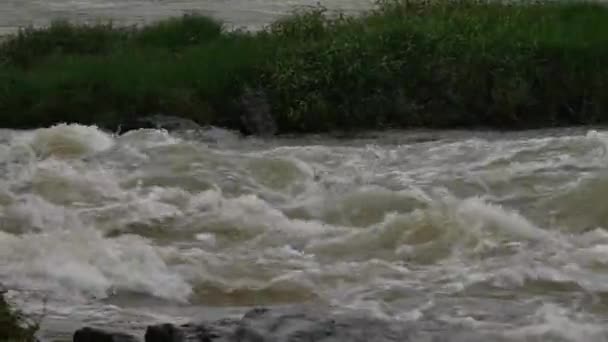 Silnie Płynąca Rzeka Formująca Pianki Trawiastą Skałą Pomiędzy — Wideo stockowe