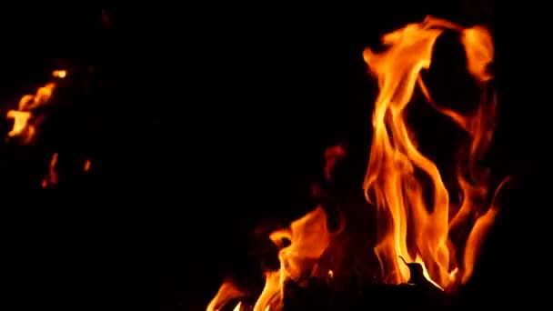 Feuer Brennt Kräftig Flammeneffekt Der Dunkelheit — Stockvideo