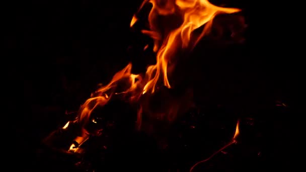 Feuer Brennt Der Dunklen Gelben Flamme — Stockvideo