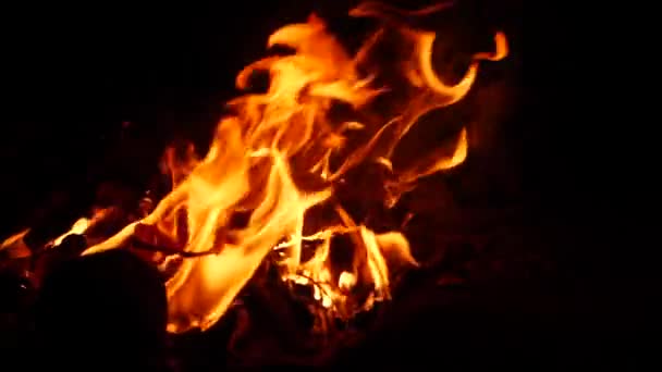 Ingezoomd Video Van Vuur Branden Krachtig Het Donker Oranje Vlam — Stockvideo