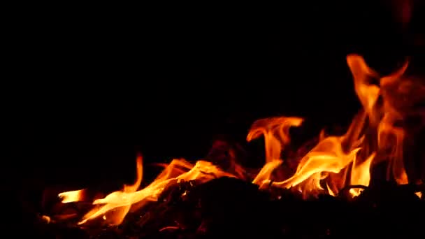 Fuego Ardiente Efecto Llama Roja Detrás Sustancia Baja Suelo Oscuridad — Vídeos de Stock