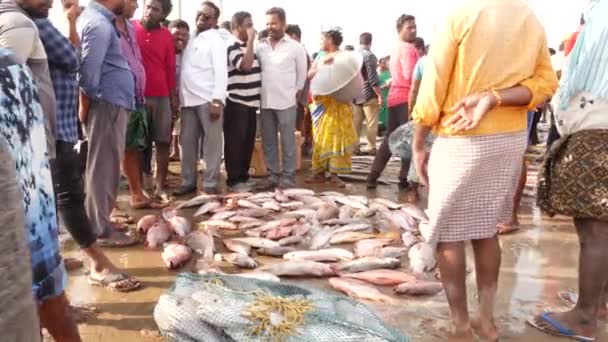 Personas Que Rodean Los Peces Cazadores Frescos Capturados Mercado Pescado — Vídeo de stock