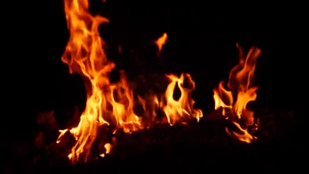 Tűz Égő Egy Vonal Sárga Láng Hatása Sötét Háttér — Stock videók