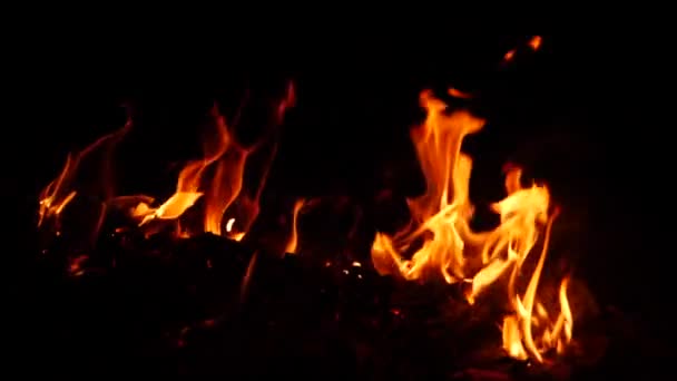 Vuur Dat Een Stof Verbrandt Het Donker Oranje Vlammen — Stockvideo