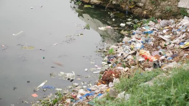 被各种垃圾和垃圾污染的河流 — 图库视频影像