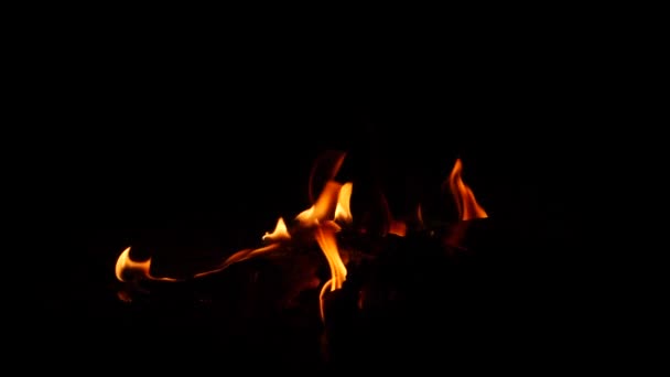Lángoló Tűz Sötét Háttérrel — Stock videók