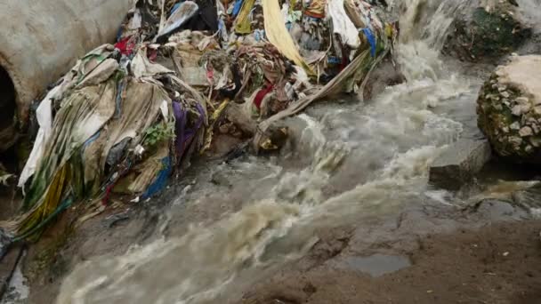 Océano Basura Las Orillas Del Río Contaminación Del Agua — Vídeo de stock