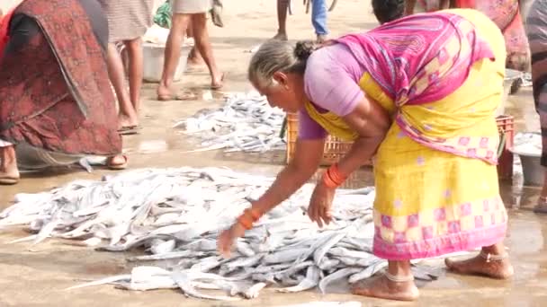 Жінки Сортують Довгу Рибу Землі Рибному Базарі Рибному Базарі Чирала — стокове відео