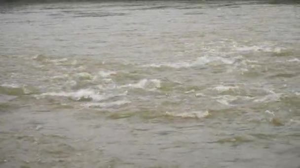 Vídeo Água Rio Que Flui Direção Esquerda — Vídeo de Stock