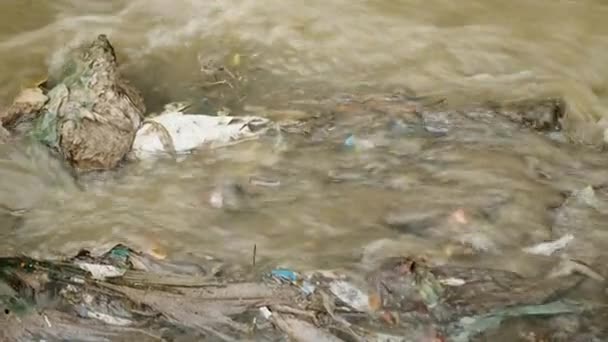 Large Amount Trash Polluting Our Waters — Stock Video
