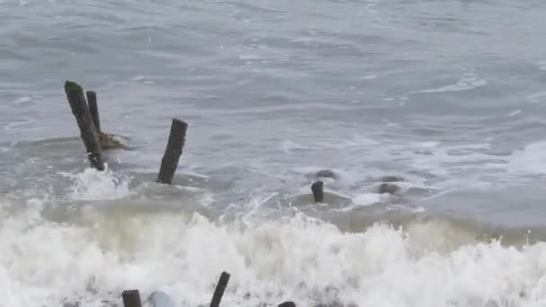 Zavřít Pohled Potopené Dřevěné Bloky Mořské Vodě — Stock video