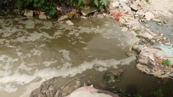 Water Pollution River Because Industrial Treat Water Drain — Stock Video
