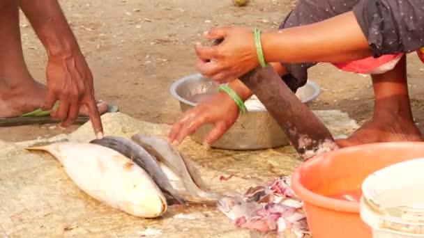 Vendedor Peixe Removendo Bordas Afiadas Peixe Com Uma Tala Afiada — Vídeo de Stock