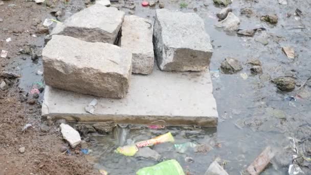 Kırsal Kanallarda Kanalizasyondan Kümese Akan — Stok video