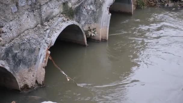 Νερό Αναβλύζει Από Τον Υπόνομο Στο Κοτέτσι Αγροτικά Κανάλια — Αρχείο Βίντεο