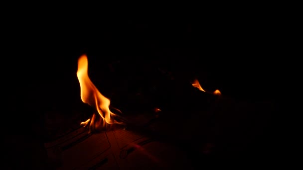 Hořící Oheň Osvětlující Jeho Boky Tmavé Pozadí — Stock video