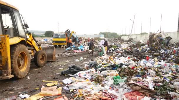 Large Garbage Landfill Trash Dump Waste Household Dumping Site — Stock Video