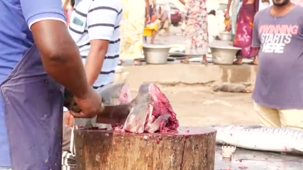 Homem Cortando Parte Óssea Peixe Cortando Carne — Vídeo de Stock