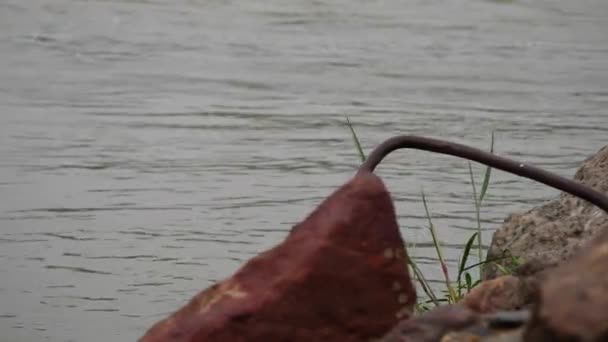 Retrato Piedras Metal Curvado Río Que Corre Por Debajo — Vídeos de Stock