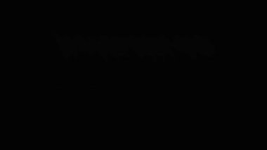 Boya kanaması geçiş empresi. En iyi kalite mürekkep lekesi animasyon filmi. Video dönüşümleri. Düzenleme ya da VFx için de kullanılabilir.