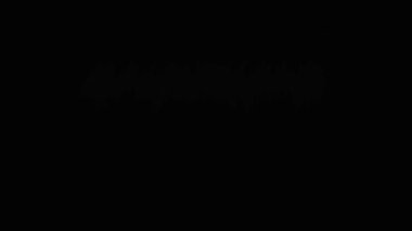 Boya kanaması geçiş empresi. En iyi kalite mürekkep lekesi animasyon filmi. Video dönüşümleri. Düzenleme ya da VFx için de kullanılabilir.