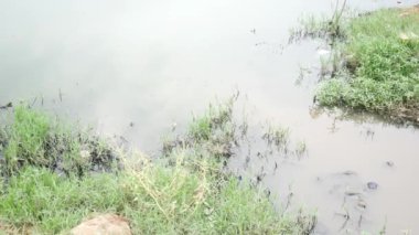 Atık, çöp ve çöp kirli nehirde satışa çıkardı