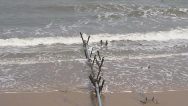 바닷가 의나무 구조물을 강타하는 물결의 — 비디오