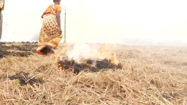 Vrouw Zet Gedroogde Struiken Brandend Vuur Het Vrijgeven Van Rook — Stockvideo