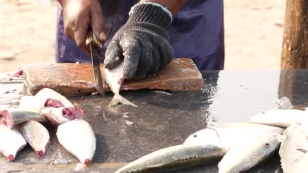 Человек Соскребает Рыбу Затем Отрезает Голову Разрезает Пополам — стоковое видео
