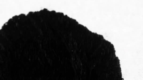 Floración Tinta Hermoso Negro Acuarela Tinta Gotas Transición — Vídeos de Stock