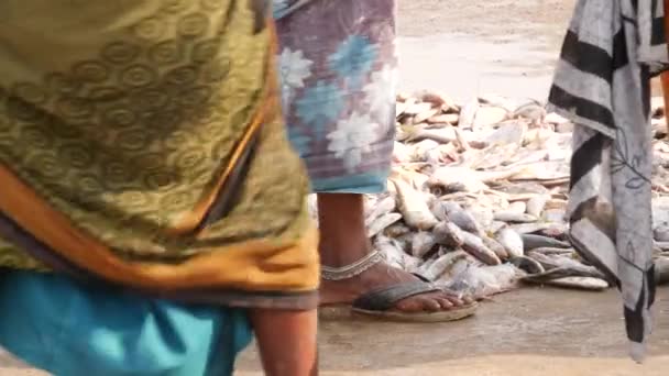 Mulher Embalando Peixes Mortos Chãojuntamente Com Seus Chinelos Mercado Peixe — Vídeo de Stock