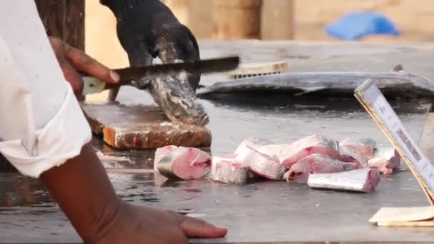 Homem Cortando Cabeça Peixe Uma Maneira Cuidadosa — Vídeo de Stock