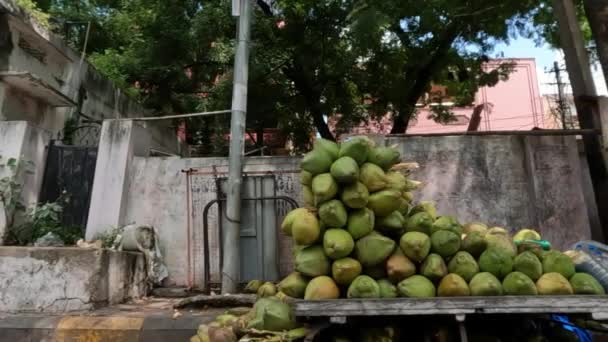 Tiro Coconet Verde Colocados Sobre Outro Vendedor Coconet Índia — Vídeo de Stock