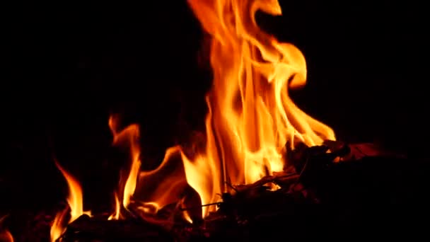 Acercado Video Fuego Ardiendo Oscuridad Alrededor Llamas — Vídeos de Stock