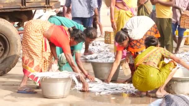 Frauen Verpacken Lange Fische Auf Dem Fußboden Vier Große Pfannen — Stockvideo