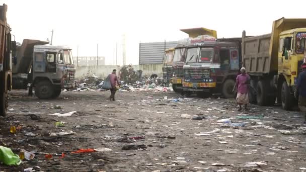 Büyük Çöp Sahaları Çöplükler Çöplükler — Stok video