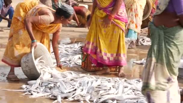 2018年12月 在印度美联社的Chirala鱼市场 一名妇女将新捕获的鱼装进一个大锅里 里面有人和鱼 — 图库视频影像
