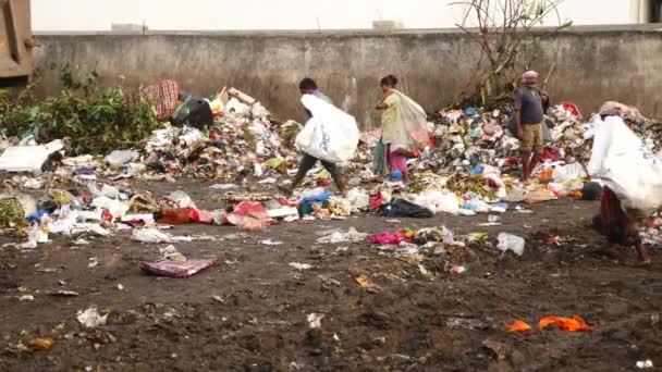 Çöp Kamyonları Atık Ürünleri Çöplüğe Atıyorlar — Stok video