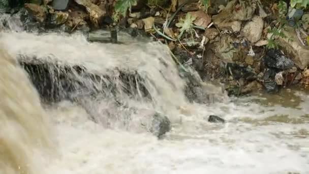 Ρύπανση Στο Ποτάμι Νερό Διότι Δεν Επεξεργασία Βιομηχανικών Λυμάτων Πριν — Αρχείο Βίντεο