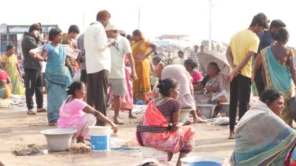Женщины Сидят Своими Товарами Люди Торгуются Рыбном Рынке Chirala Fish — стоковое видео