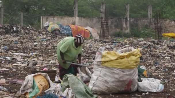 Ein Mann Packt Plastikflaschen Säcke Auf Einem Müllplatz Bereits Gefüllter — Stockvideo