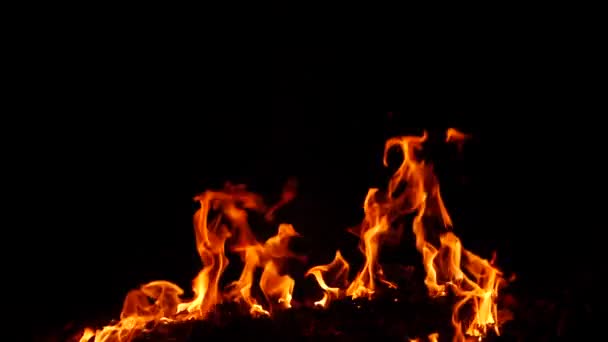 Karanlıkta Üretilen Sarı Alevler Içinde Yanan Ateş — Stok video