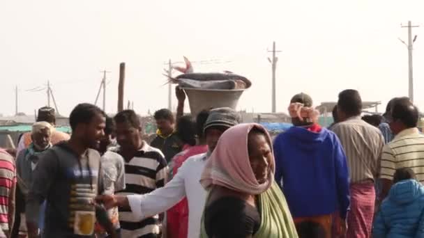 頭の上に大きな魚のいる女性 魚市場の人々 シララ魚市場 インド 2022年12月 — ストック動画