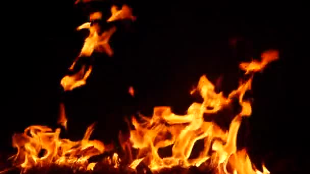 Φωτιά Καίει Έντονα Στο Σκούρο Κόκκινο Φαινόμενο Της Φλόγας — Αρχείο Βίντεο